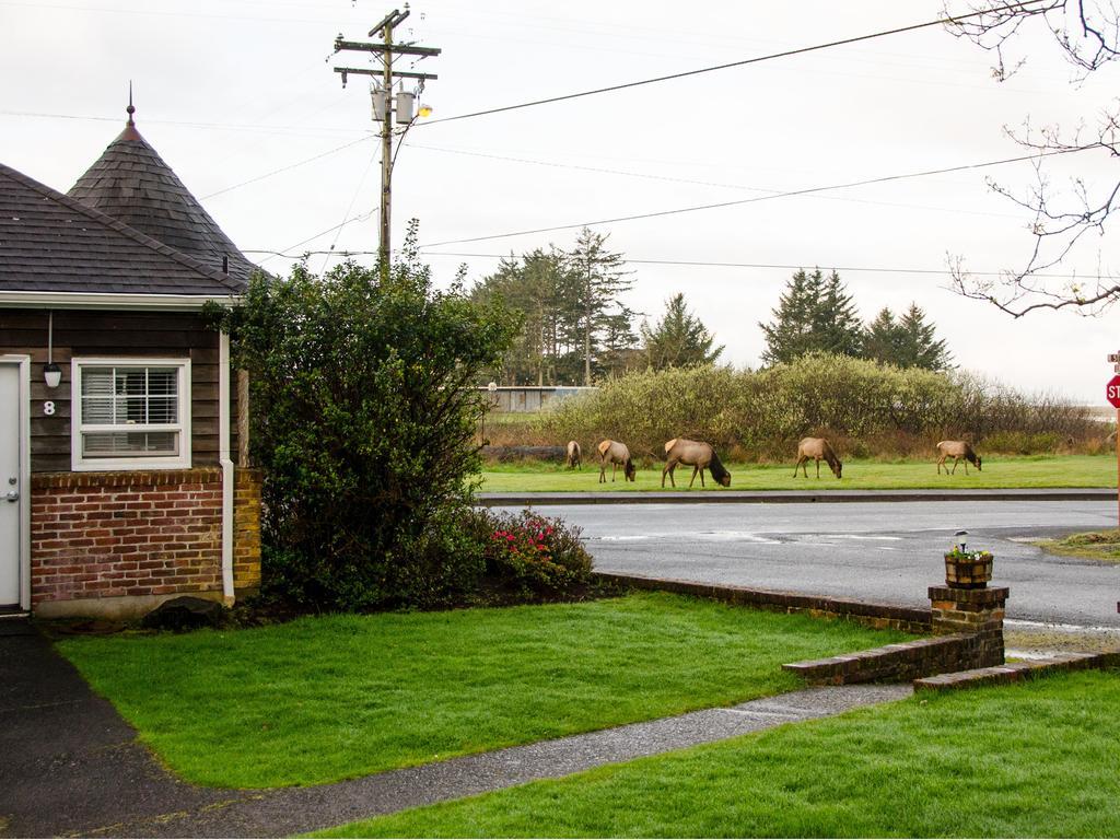 Ecola Creek Lodge キャノンビーチ エクステリア 写真